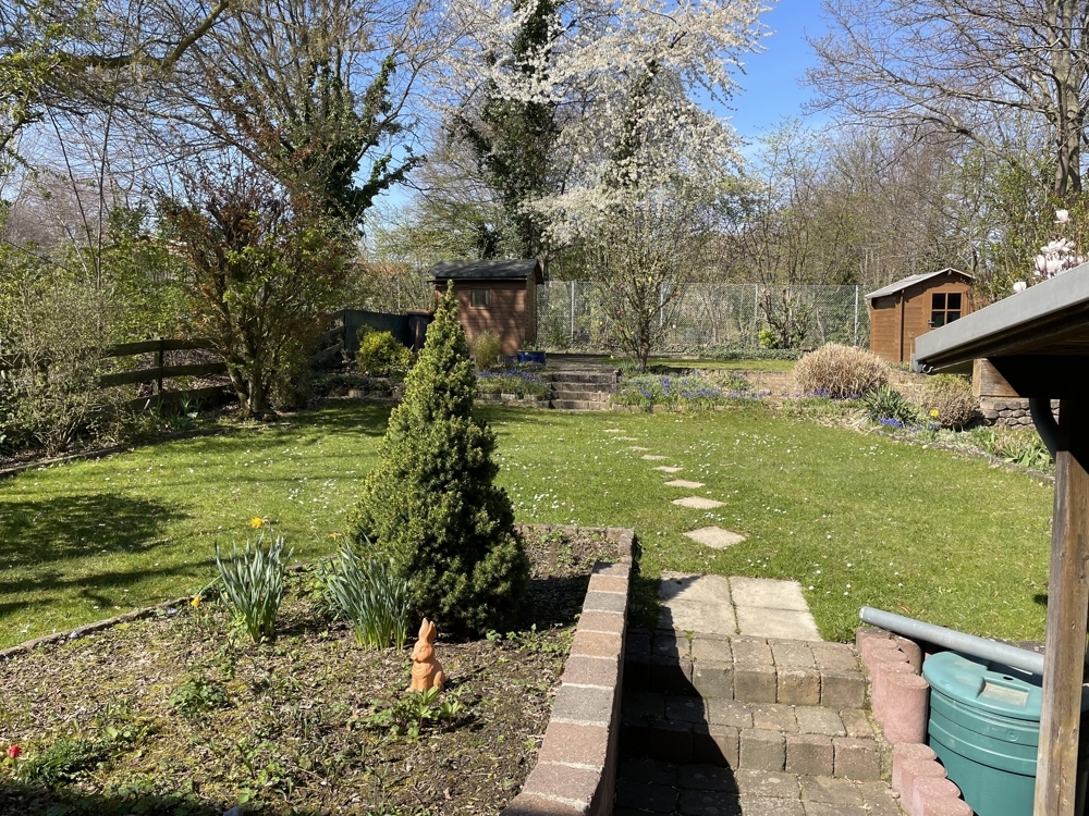 Blick in den Garten