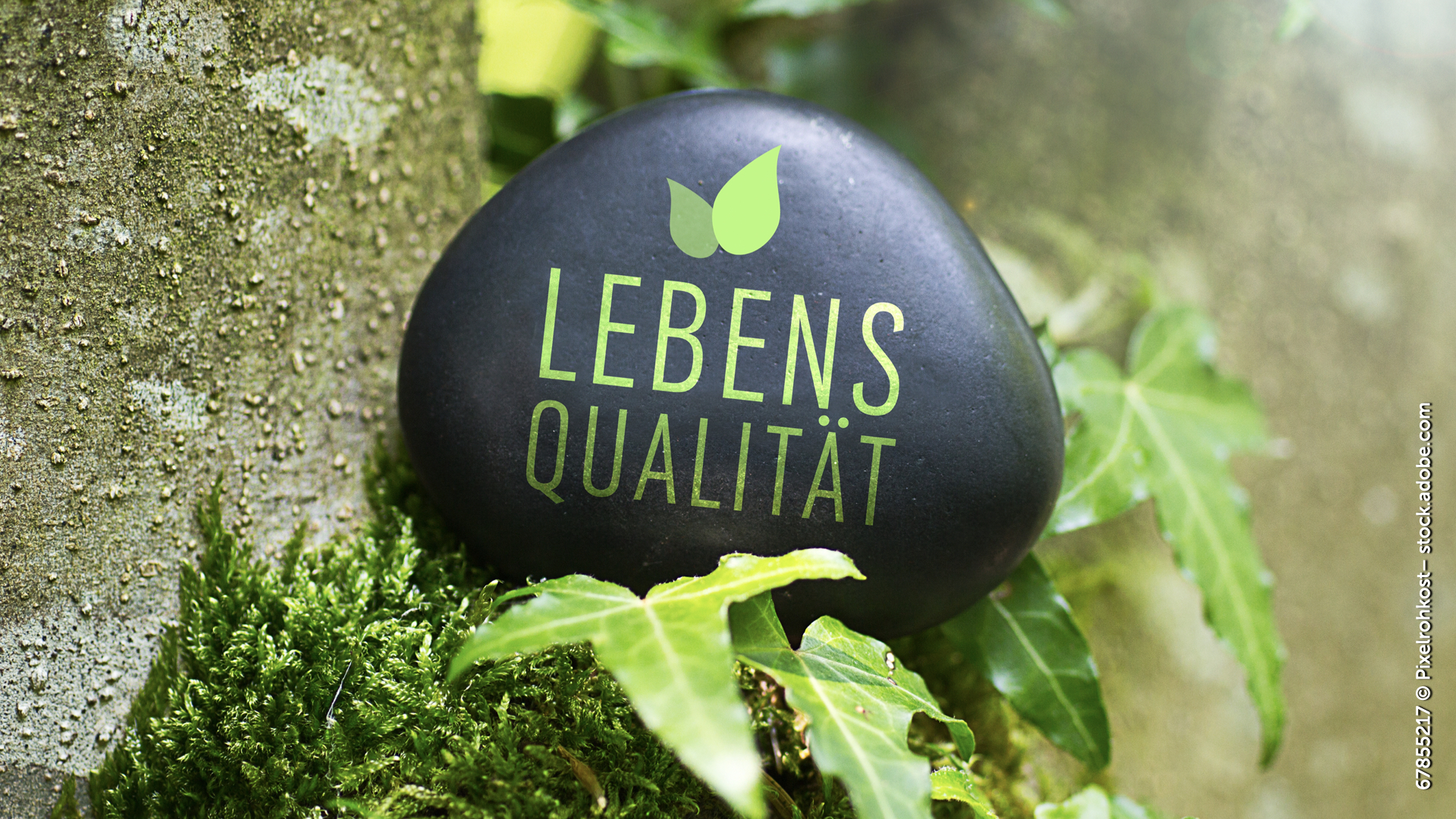 Lebensqualität